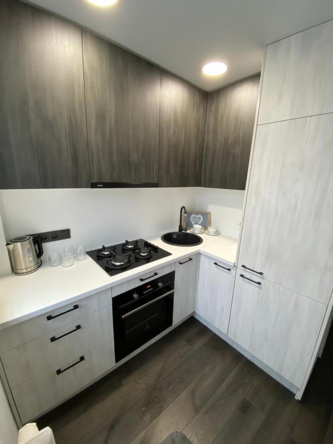 Parko 443 Apartment Panevėžys Екстериор снимка